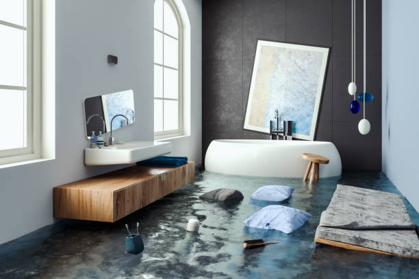 Best Water damage restoration near me  in Lawrencevle, IL