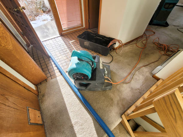 Best 24/7 water damage repair  in Lawrencevle, IL