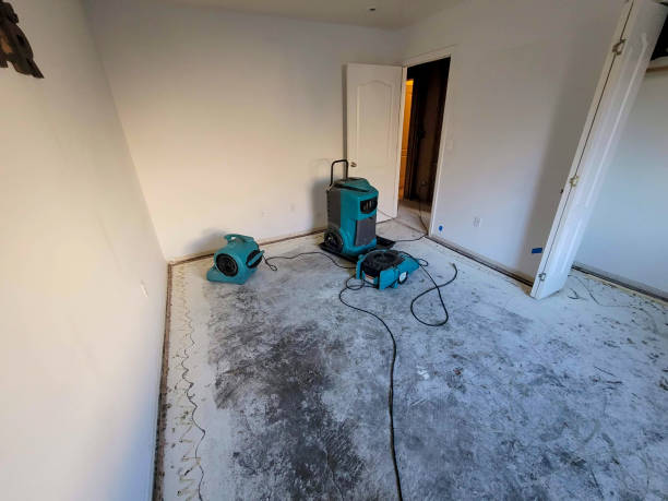 Best Carpet water damage restoration  in Lawrencevle, IL