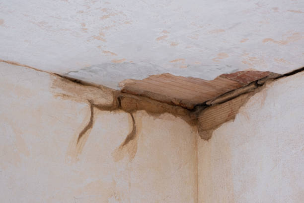 Best Ceiling water damage repair  in Lawrencevle, IL