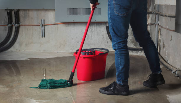 Sewage cleanup and water damage restoration in Lawrenceville, IL