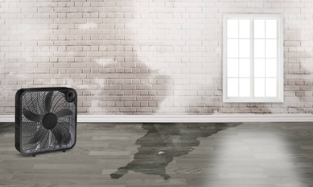 Best Water damage restoration services  in Lawrencevle, IL