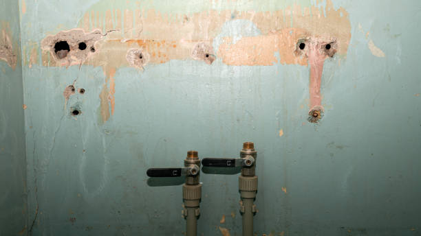 Best Water damage cleanup near me  in Lawrencevle, IL
