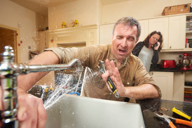 Best Flood damage cleanup  in Lawrencevle, IL